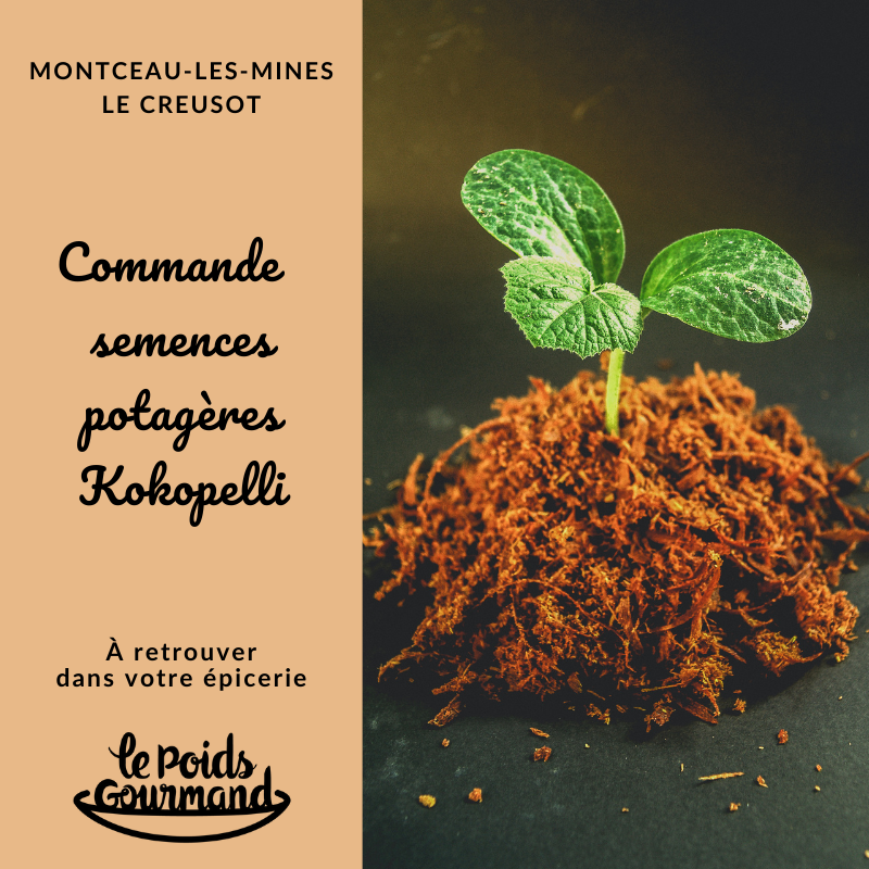 Kit Graines Potagères Rares Le Grenier D’Abondance – 7 Variétés Originales (tomate Ananas, Chou Romanesco…) Pour Jardinier Curieux